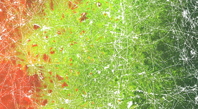 'Fungal highway' - Hyphae promote the bacterial spread, genetic adaptation, diversity and potential for pollutant degradation 
(&copy; Tom Berthold/UFZ)